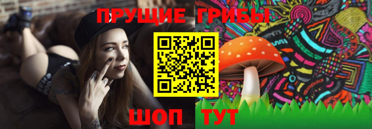 Псилоцибиновые грибы GOLDEN TEACHER  Вход с VPN  Псилоцибиновые грибы Psilocybine cubensis  Гатчина 